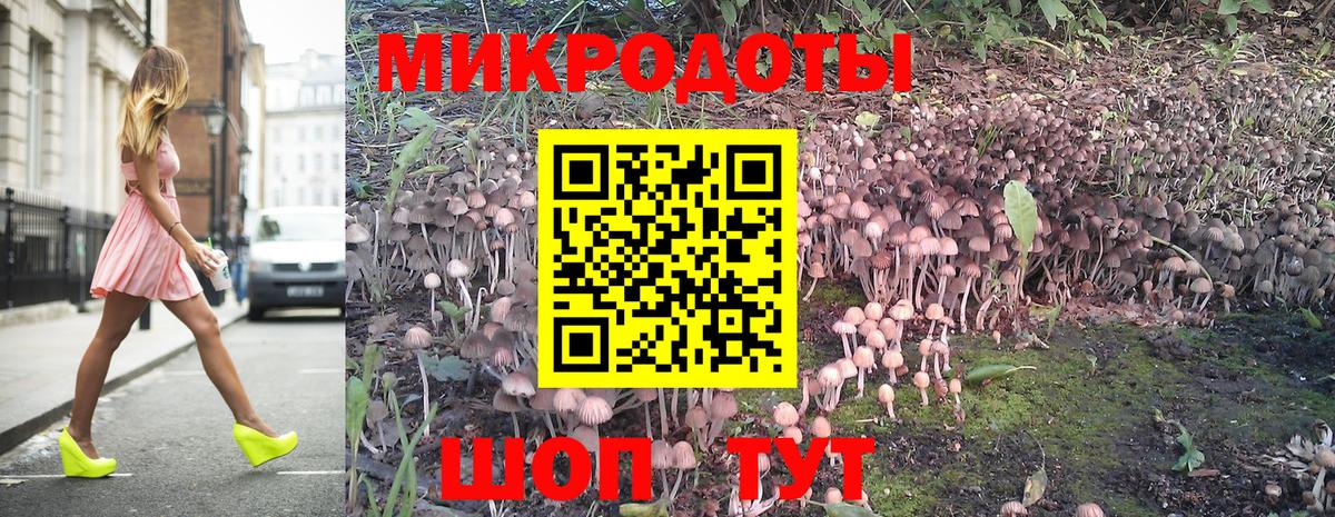 Вышний Волочёк  Псилоцибиновые грибы Psilocybe  Вход с VPN 