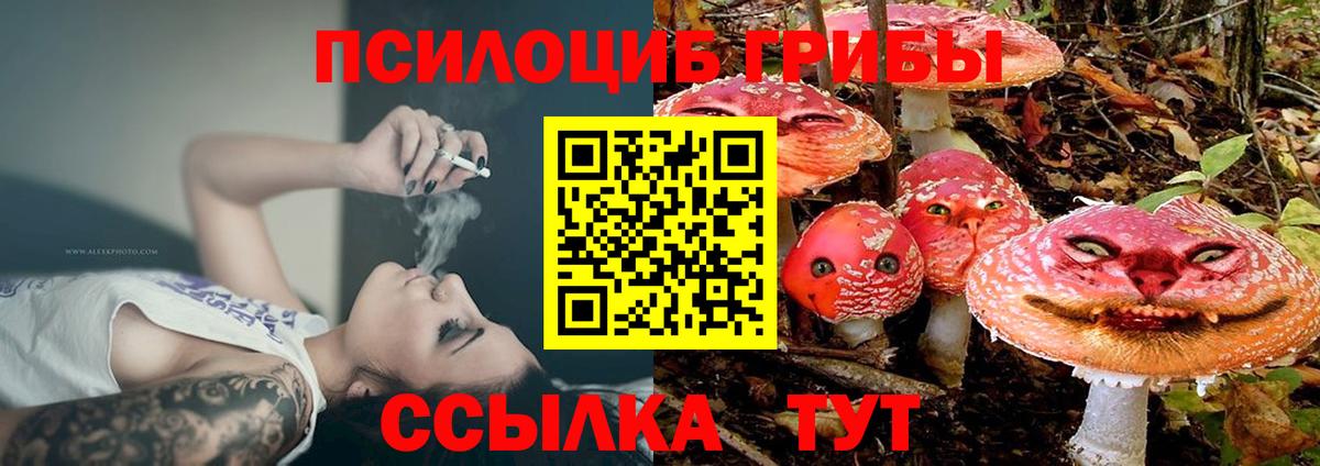 Псилоцибиновые грибы GOLDEN TEACHER Вышний Волочёк